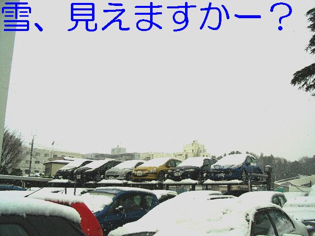 大雪です！！