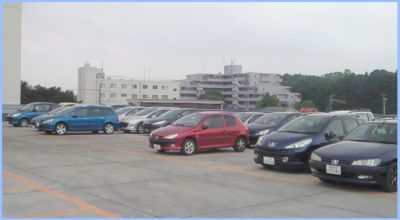 新PEUGEOT柏オープンして早１ヶ月