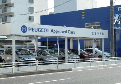 プジョー柏　リニューアルオープンへの道