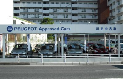 プジョー柏　リニューアルオープンへの道