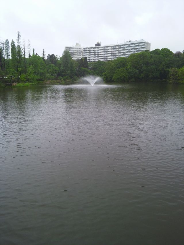 DVC00231.JPG