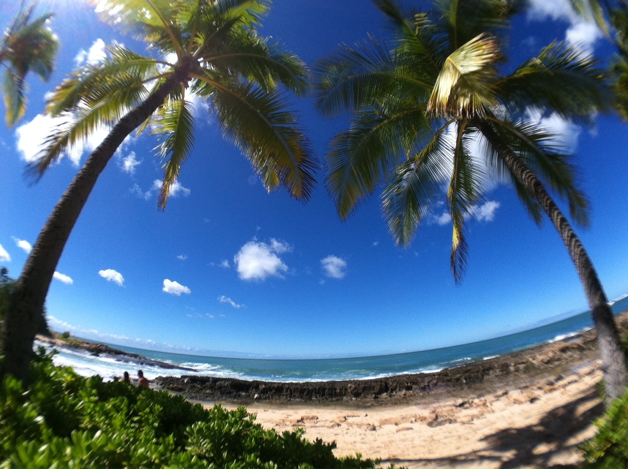 The Best 3 Beaches in HI