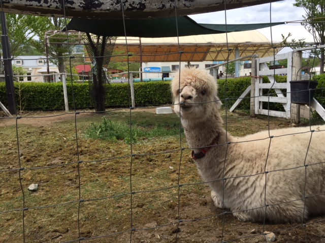 那須！！！　旅