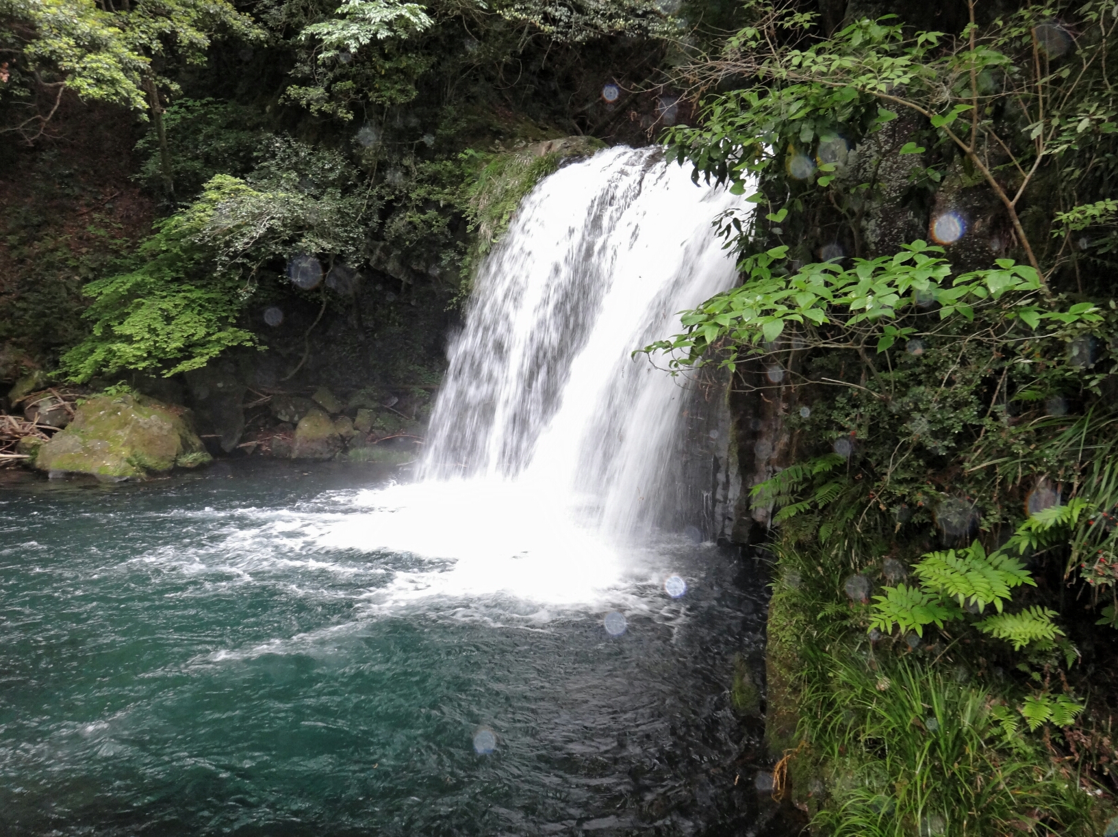 伊豆に行ってきました!!