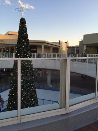 ノエル！！！！