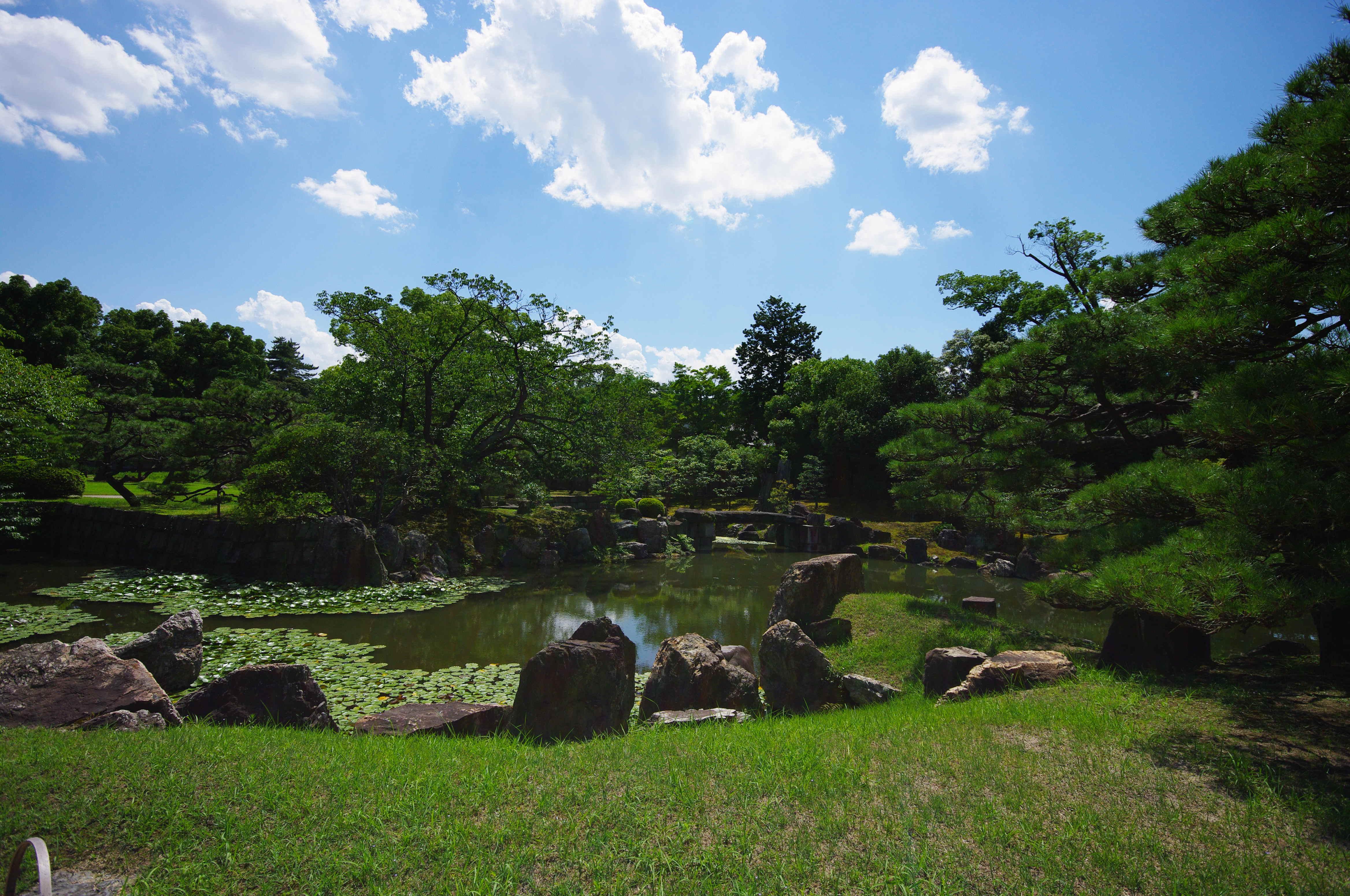 夏のマイブーム