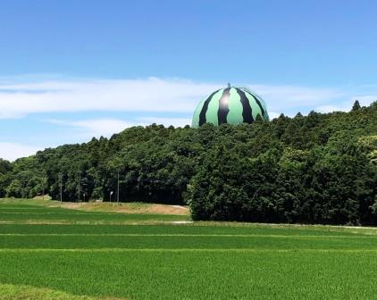 スイカの名産地～♪