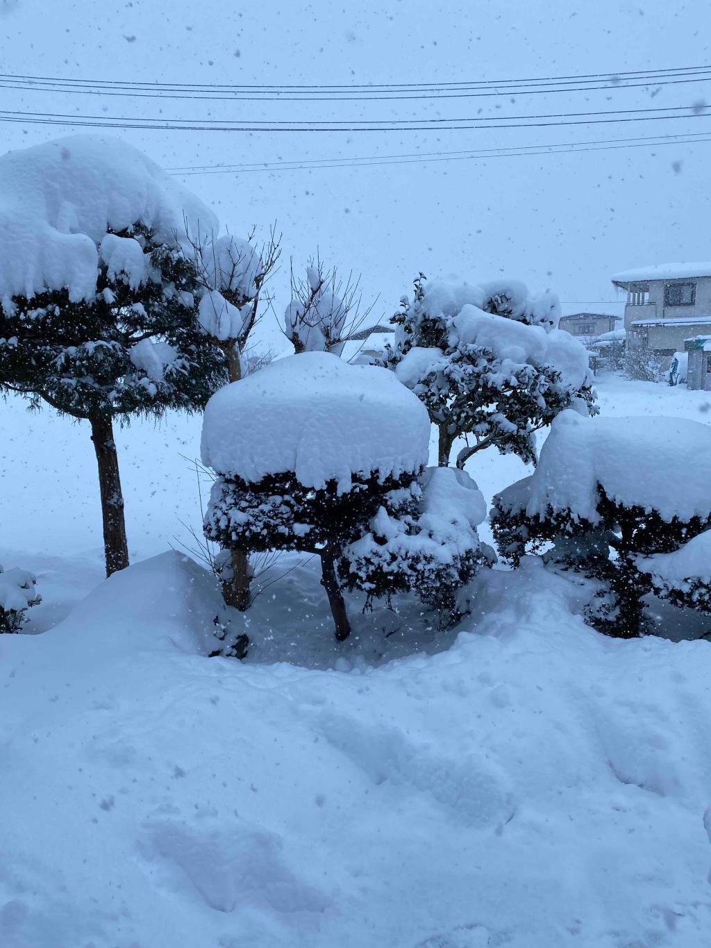 ❅雪❅への備え