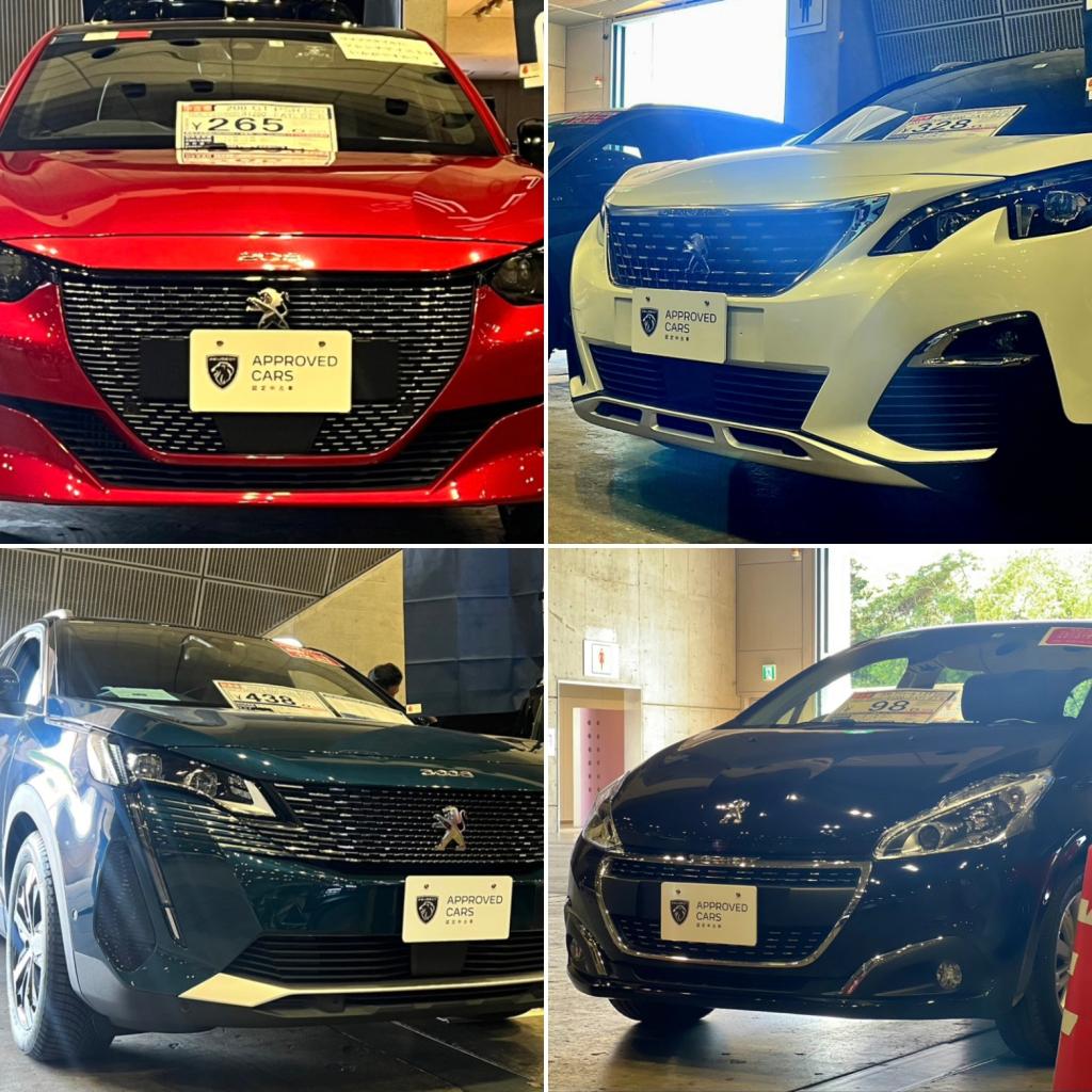 幕張メッセ「どきどきフリーマーケット2023」明日からです！