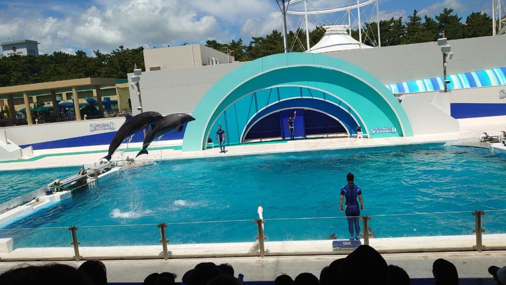 千葉の南国パラダイス