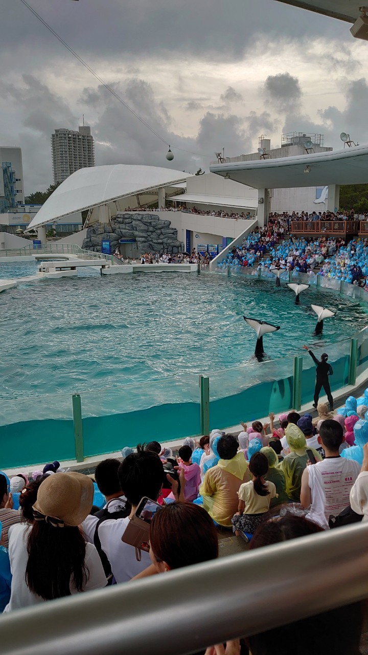 千葉の南国パラダイス