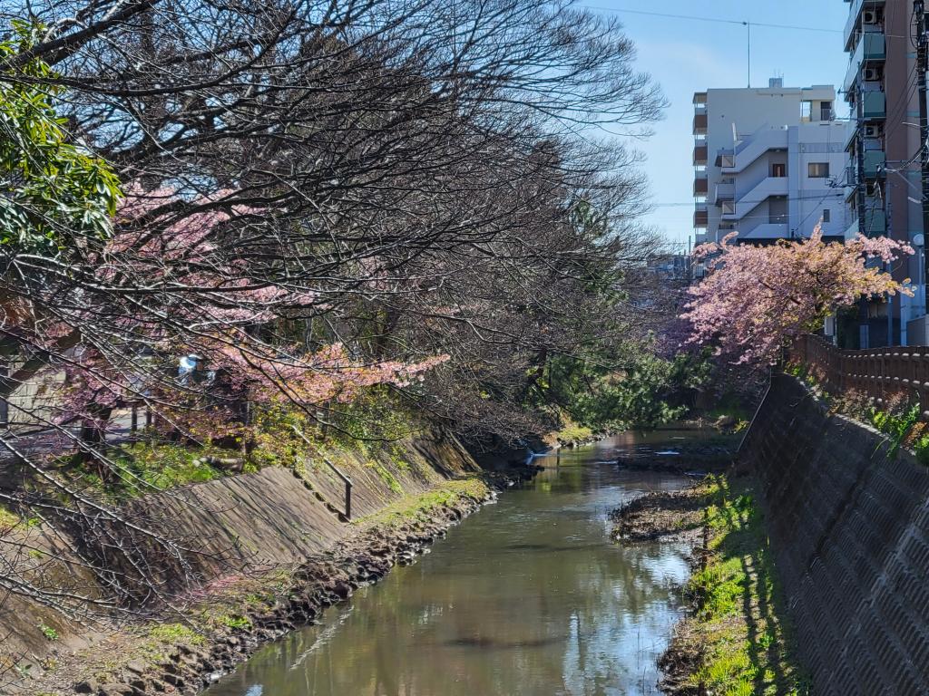 ぜひ松戸の街を歩いてみてください😊