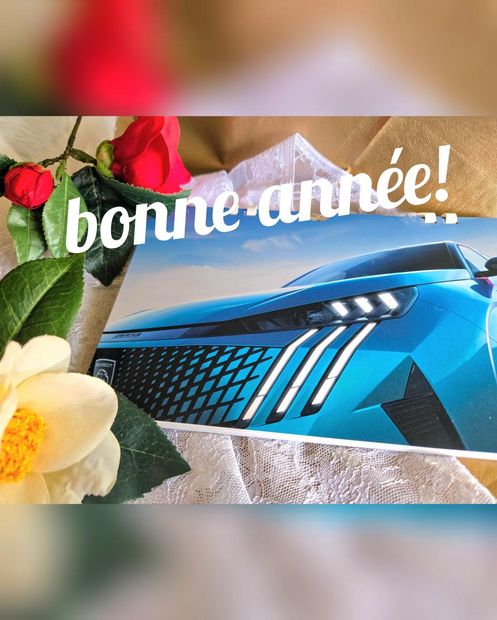 Bonne année！　本年もよろしくお願いいたします☆