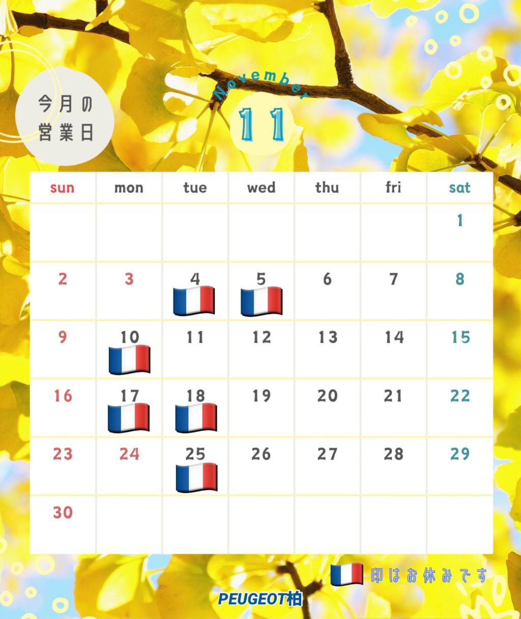 １１月定休日のお知らせ