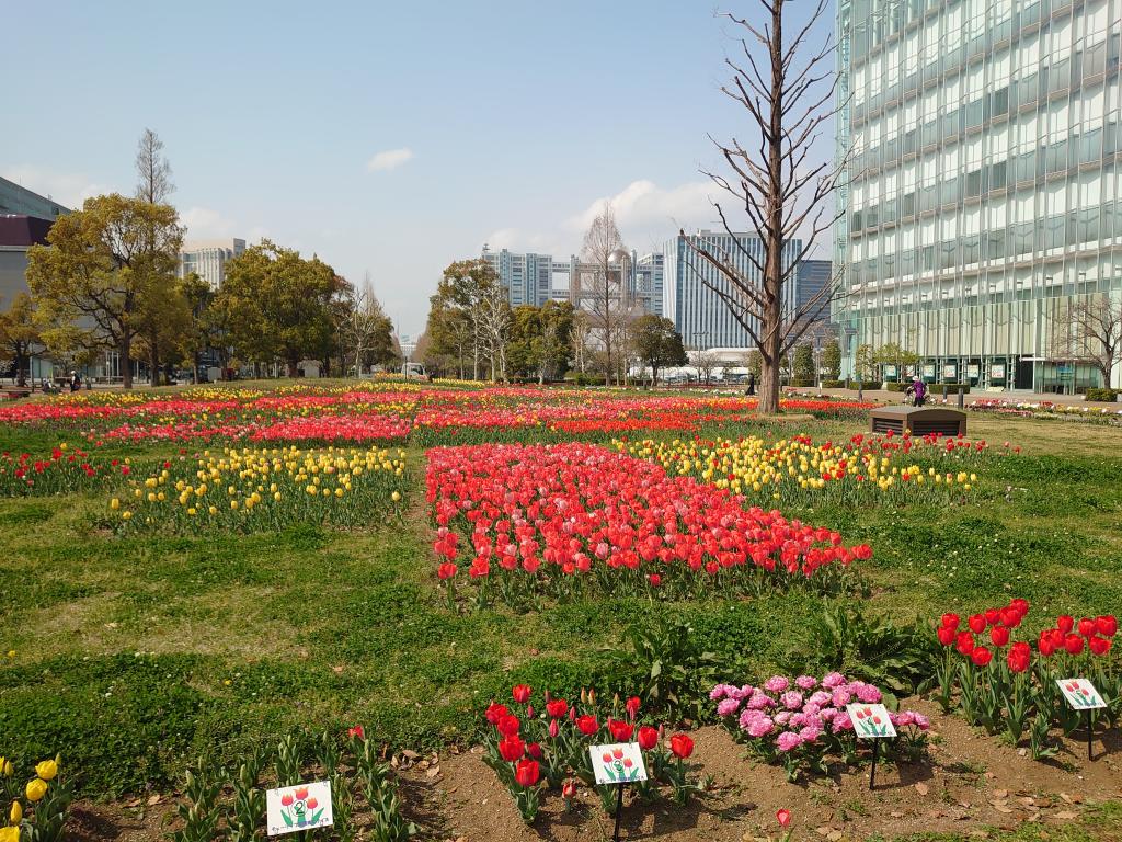 春のお台場散策。