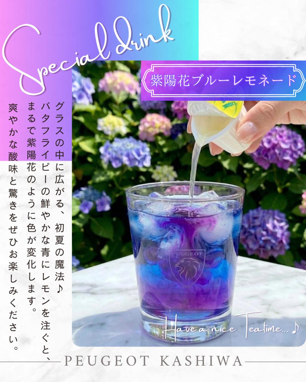 NEW✨6月スペシャルドリンクのお知らせ