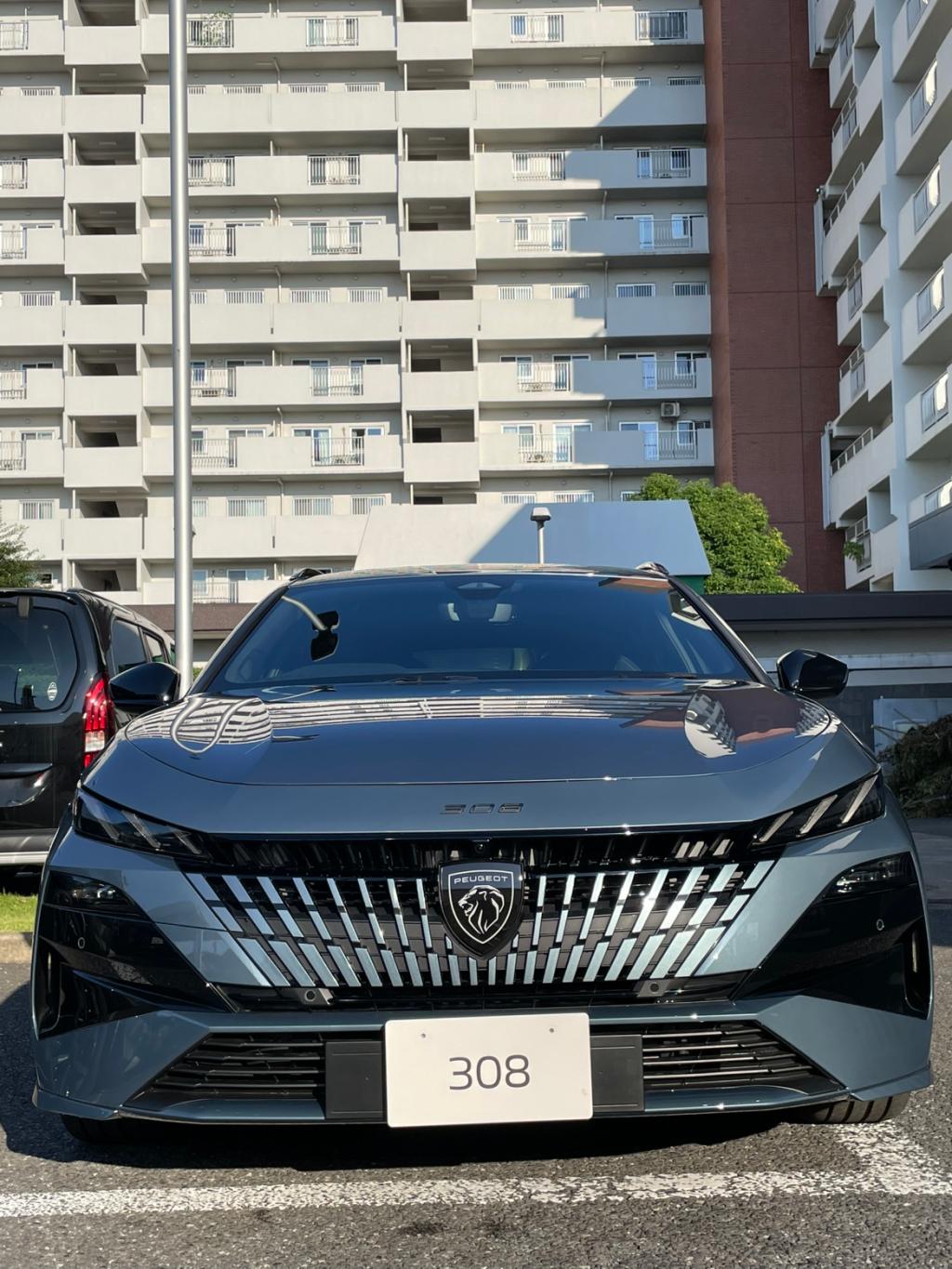 308sw デビュー