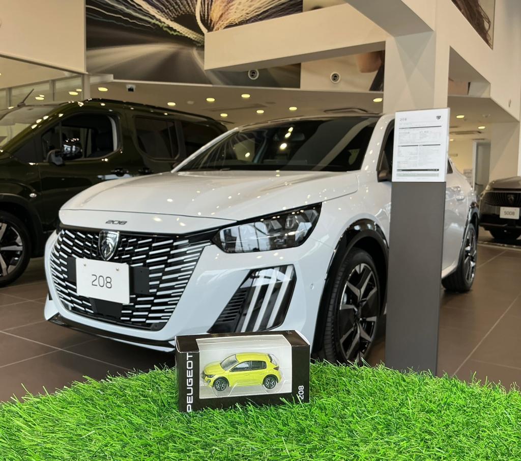 🚗 PEUGEOT 208