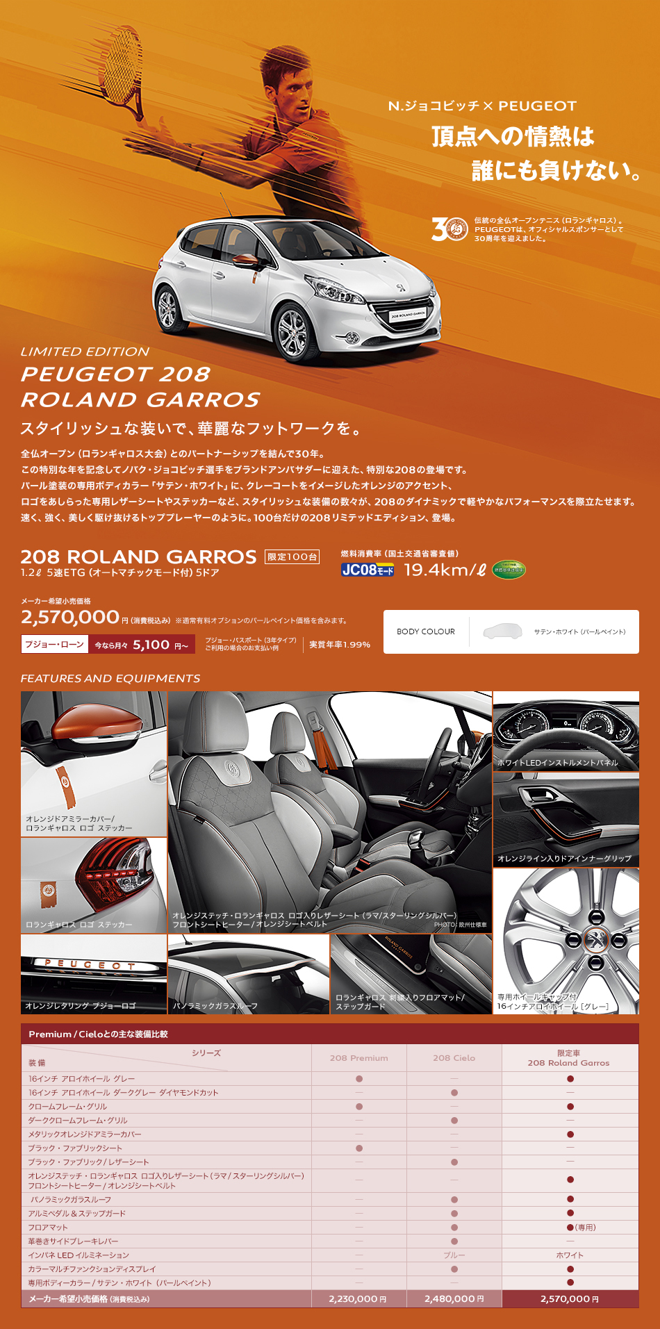 PEUGEOT 208 ROLAND GARROS_セクション1