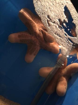 水族館！！！癒し