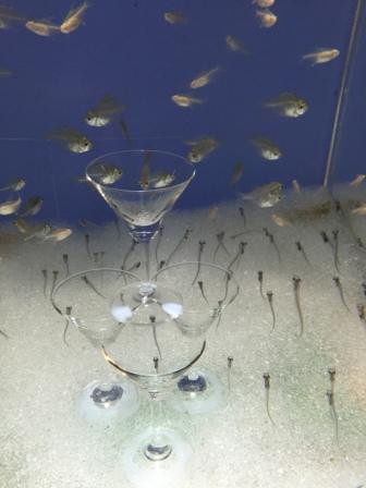 水族館！！！癒し