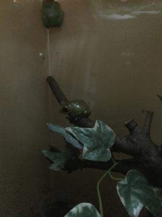 水族館！！！癒し