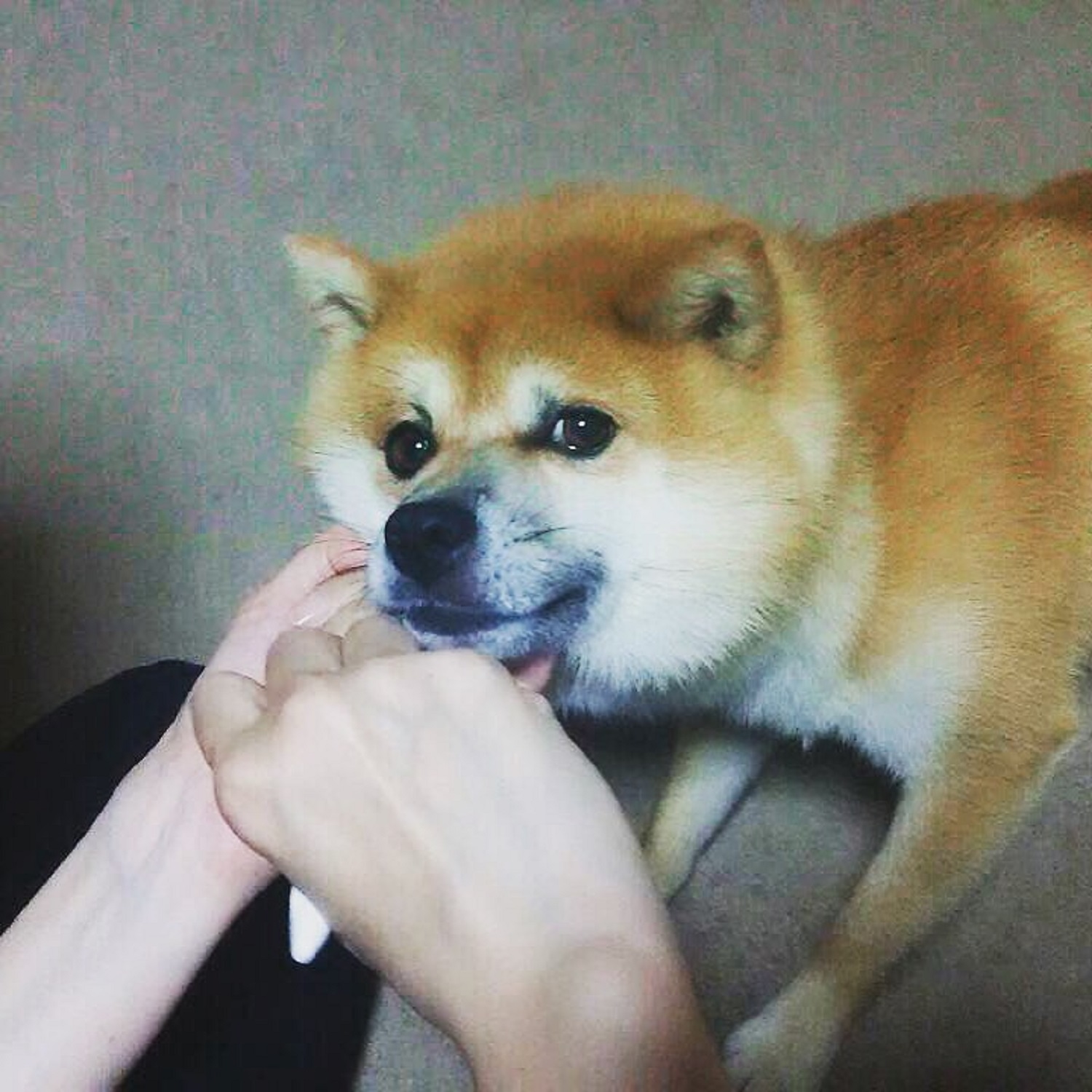 じろりんちょ!