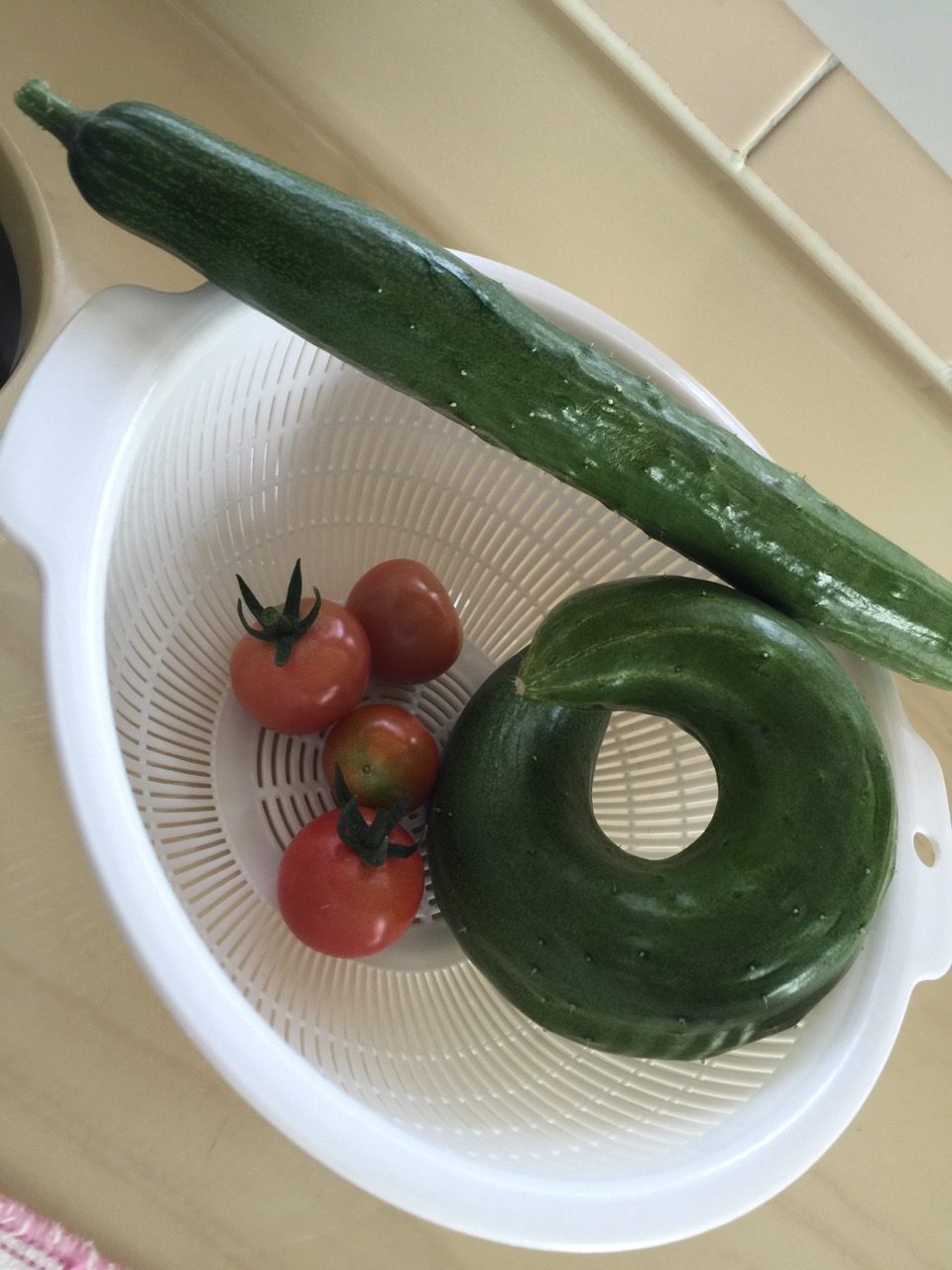 夏　野菜　！！！