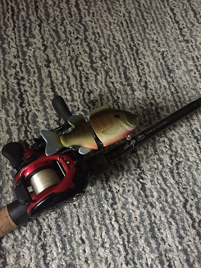 やっと釣れ始めました