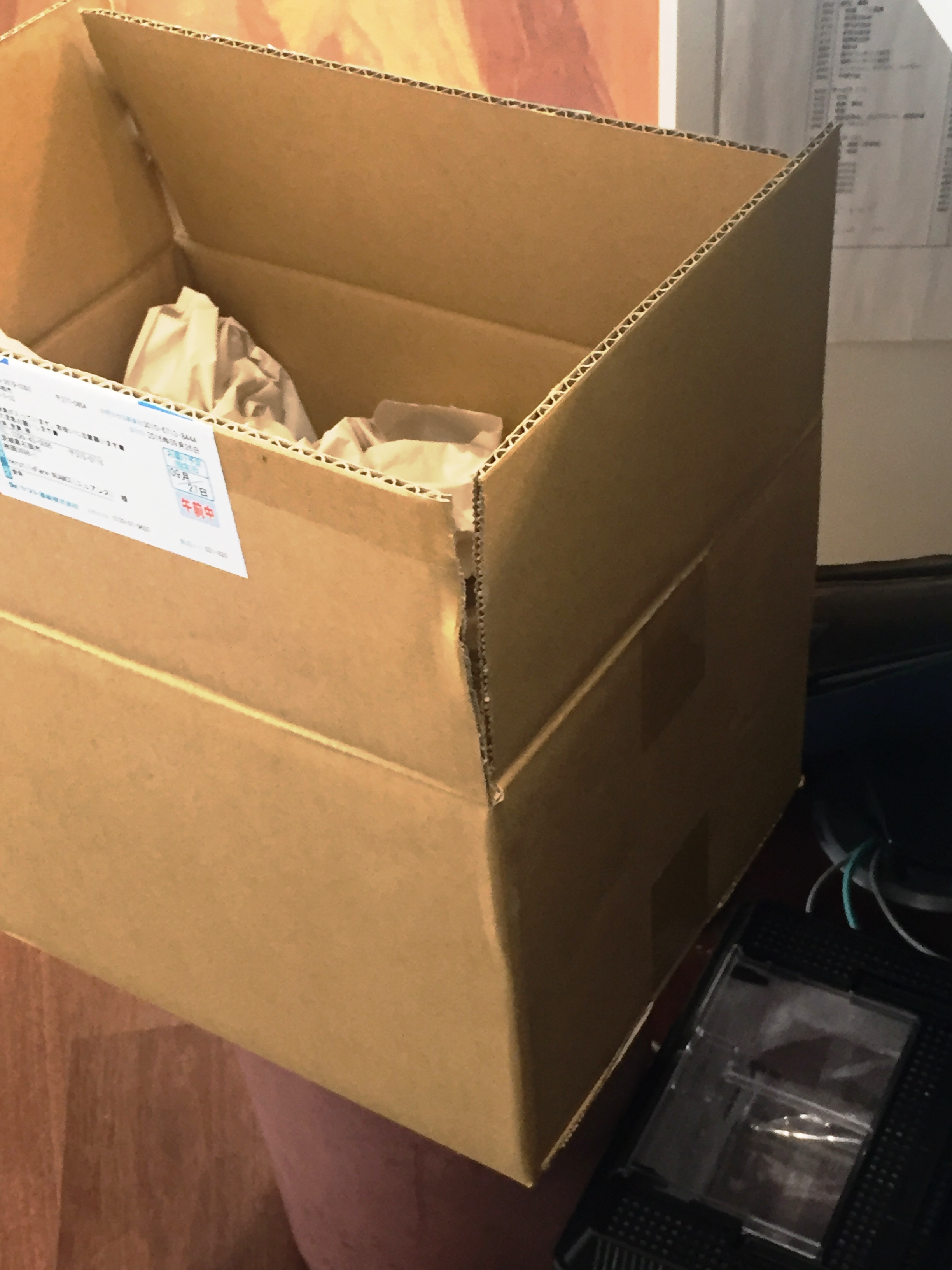 新入り!!
