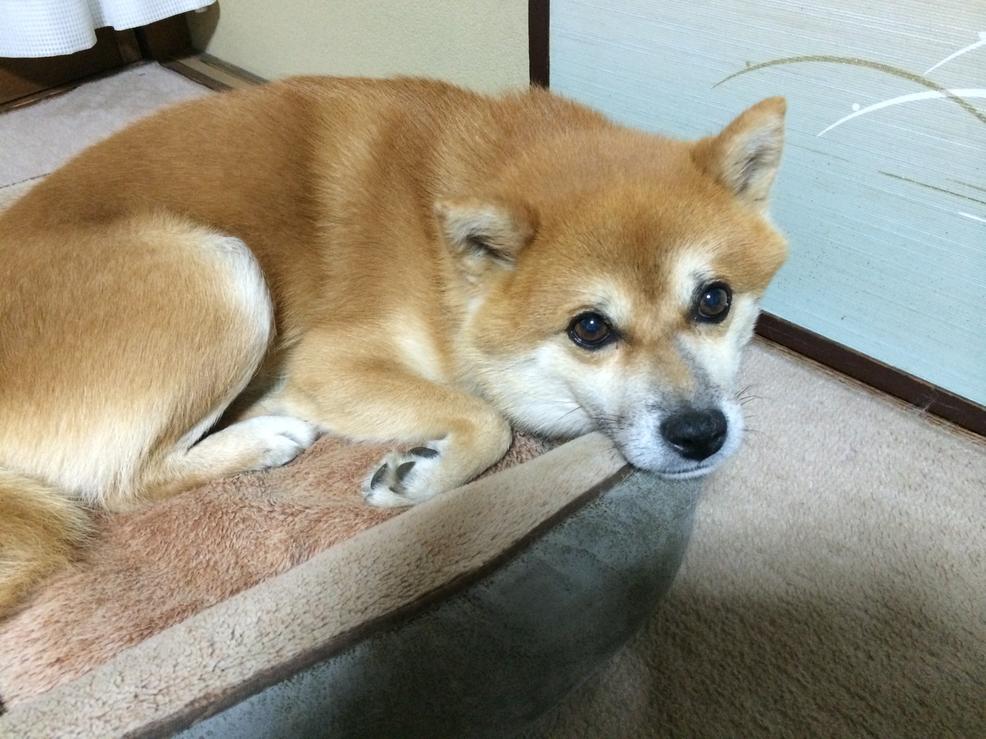 ♪誕生日♪