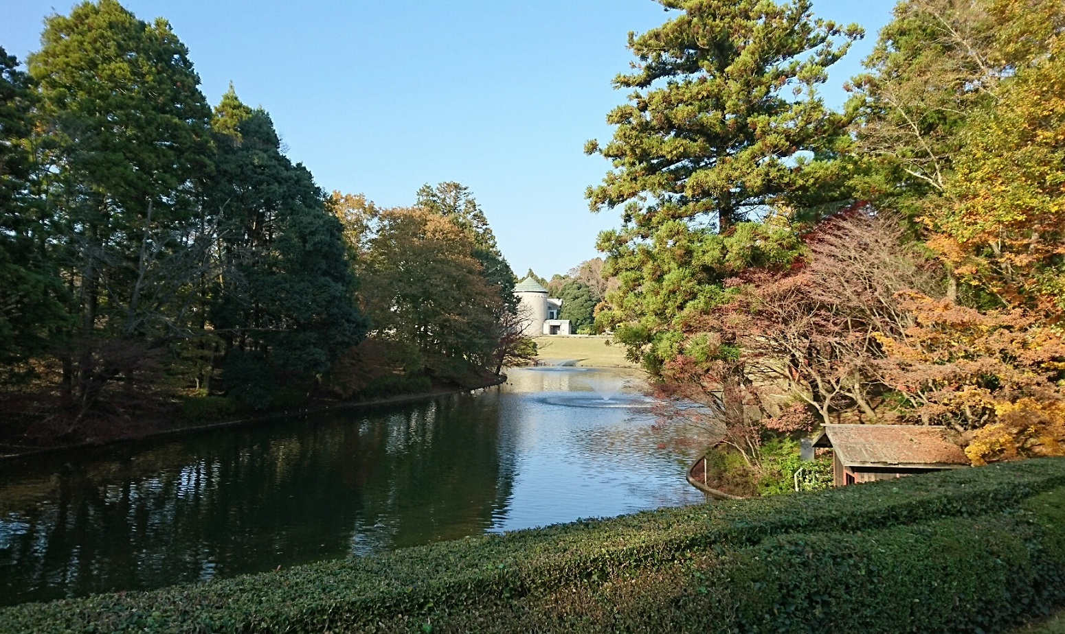 紅葉！！