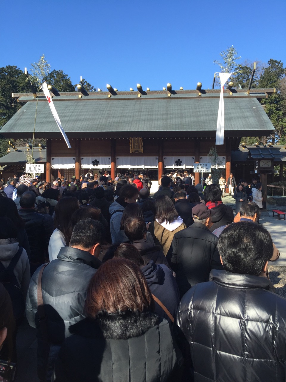 初詣。