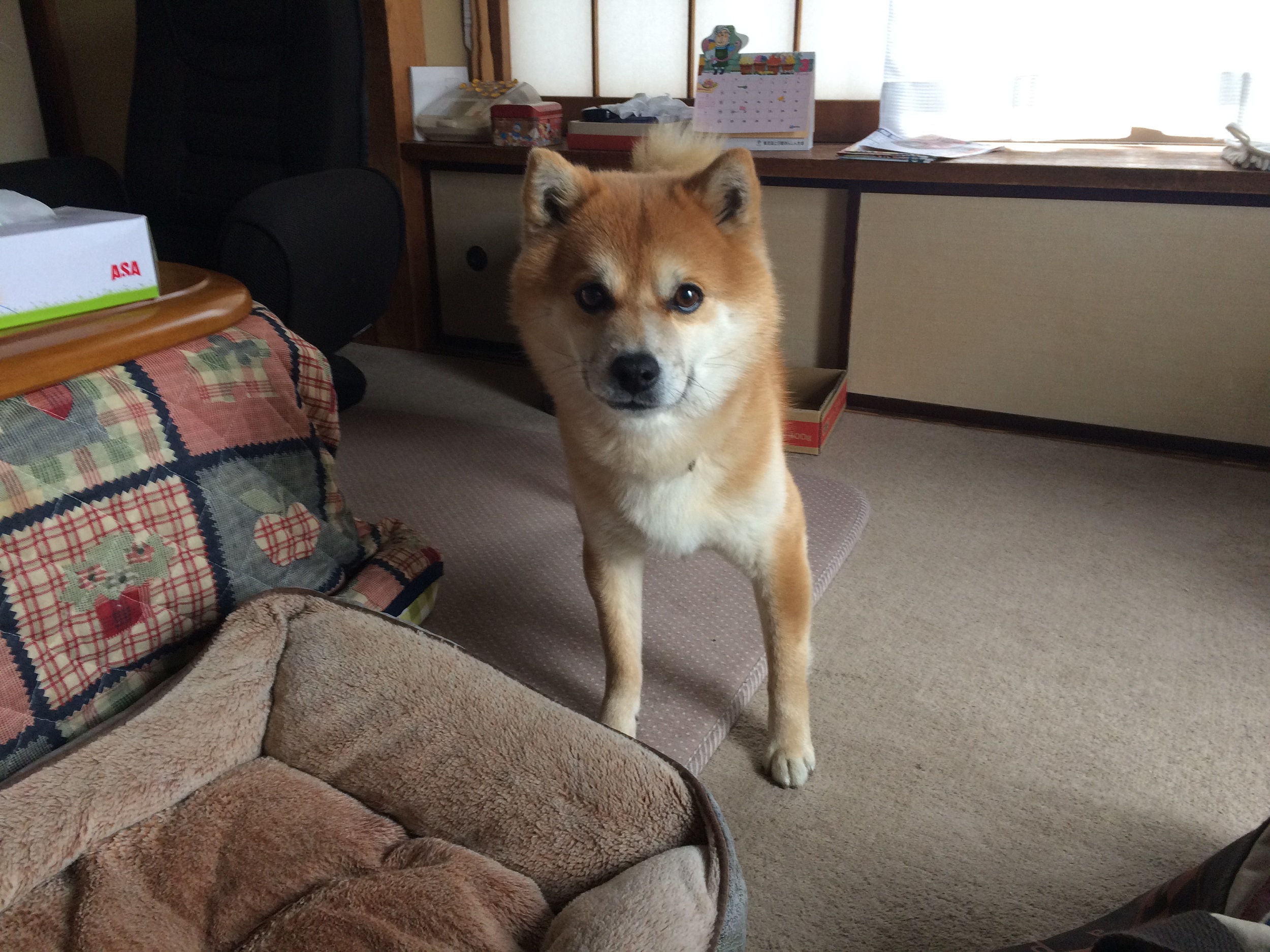 ｢どや顔！｣