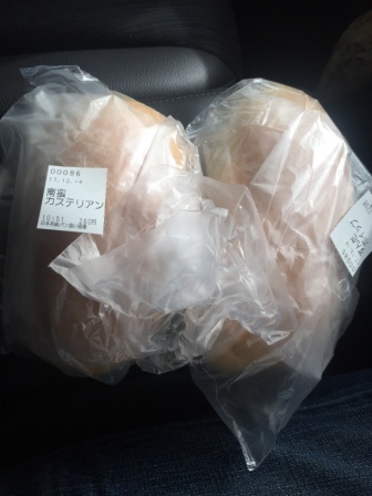 パン！パン！