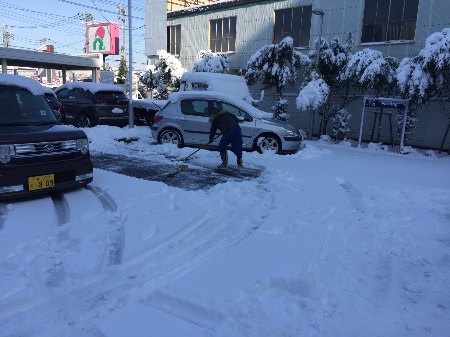大雪でしたねー((+_+))