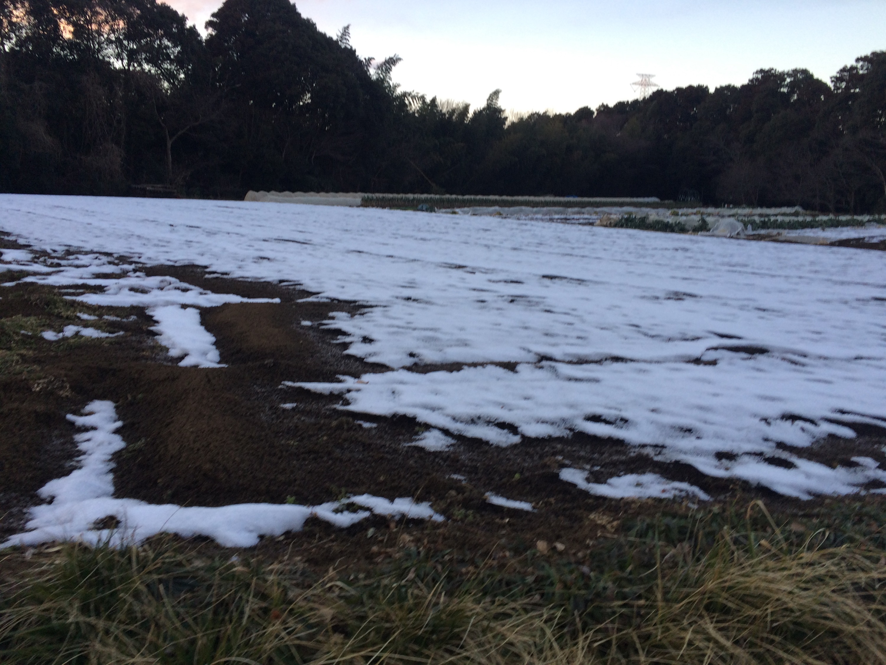 雪、大丈夫でしたか？