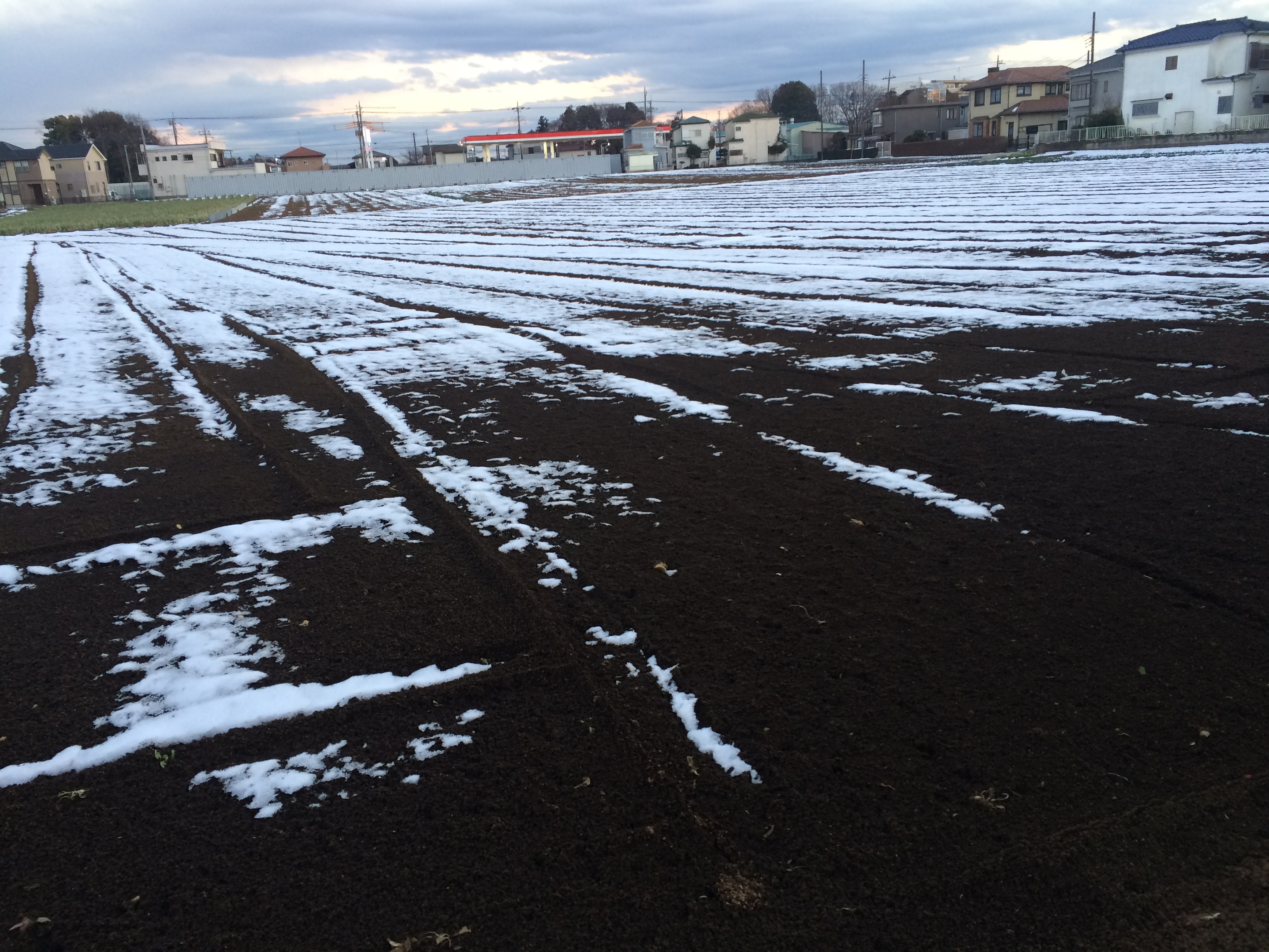 雪、大丈夫でしたか？