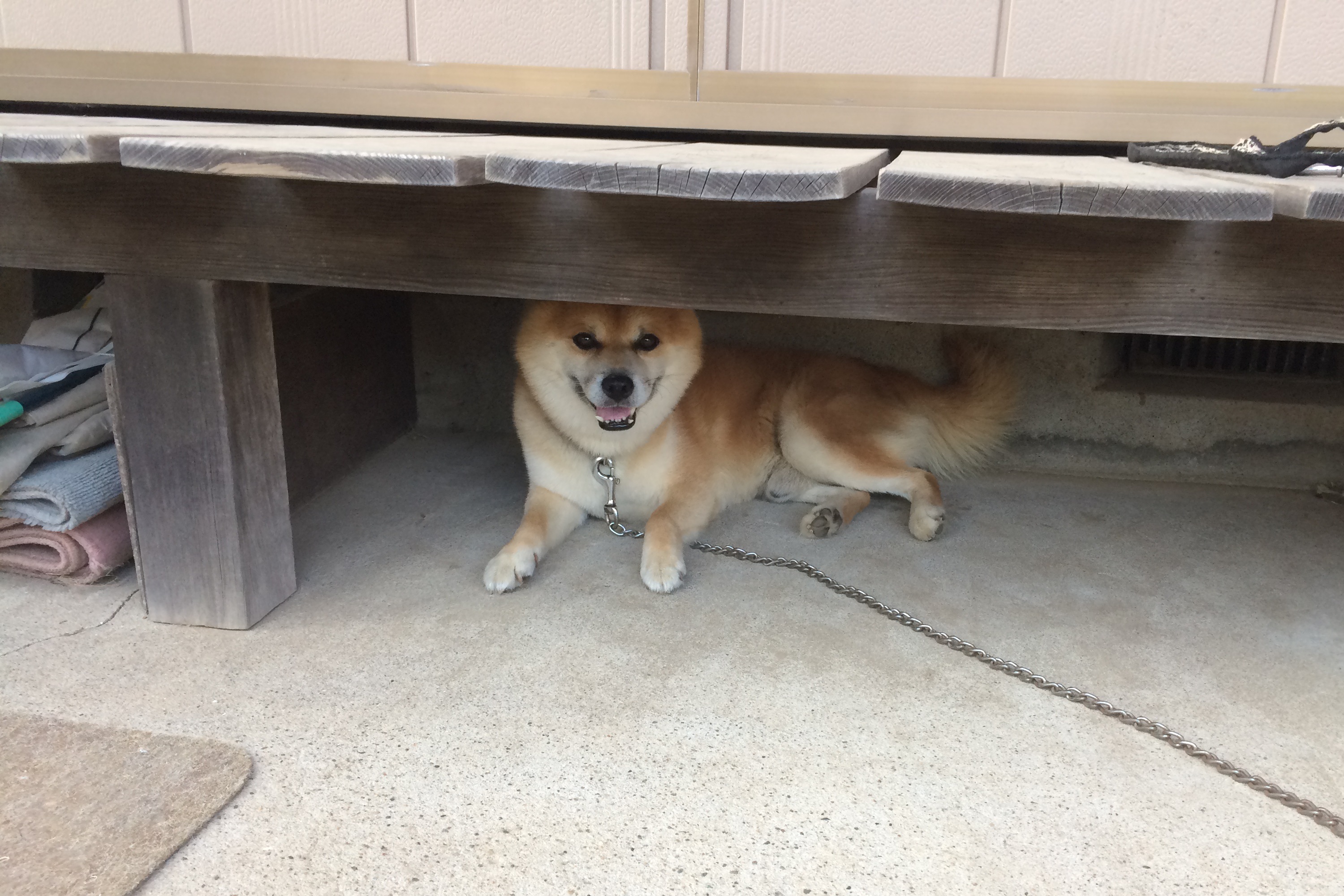 避暑地♪