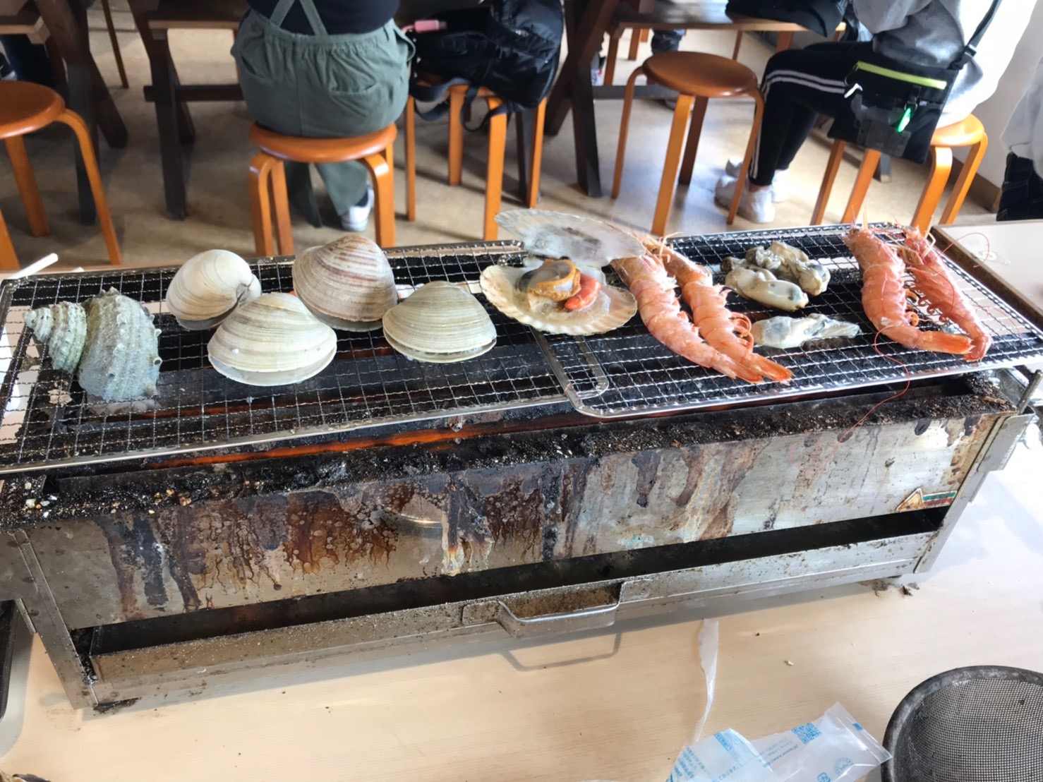 貝祭り🐚