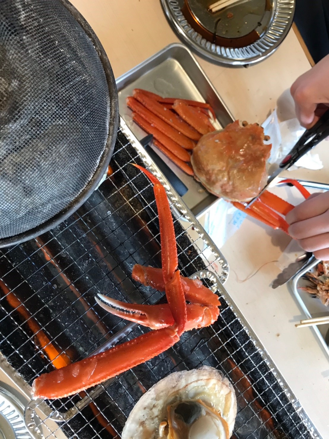 貝祭り🐚
