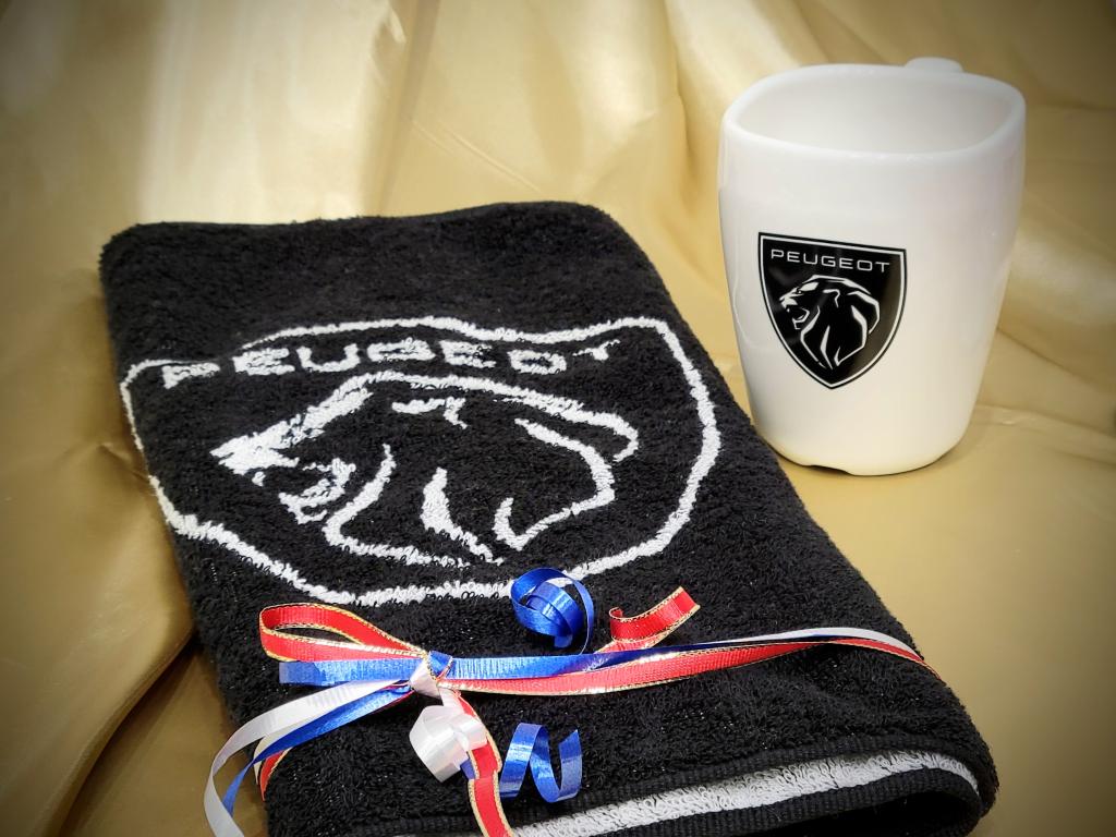 PEUGEOT Christmas⭐  Xmas Gift Set つくりました😊