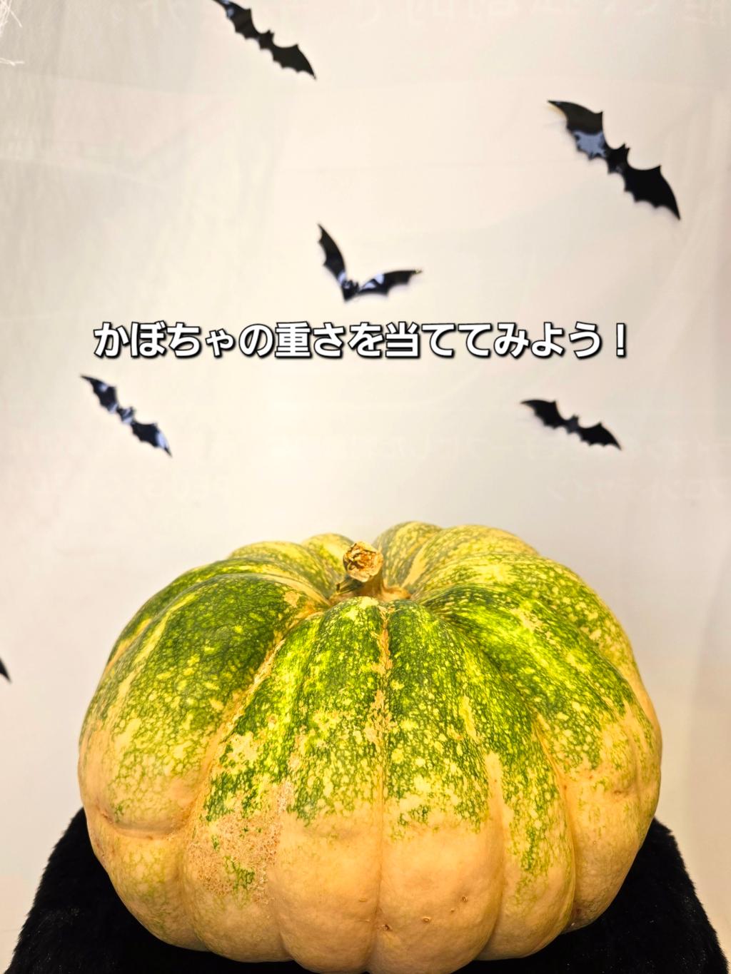 プジョー柏のHalloween！！　2024.10.12(sat)―31(thu)