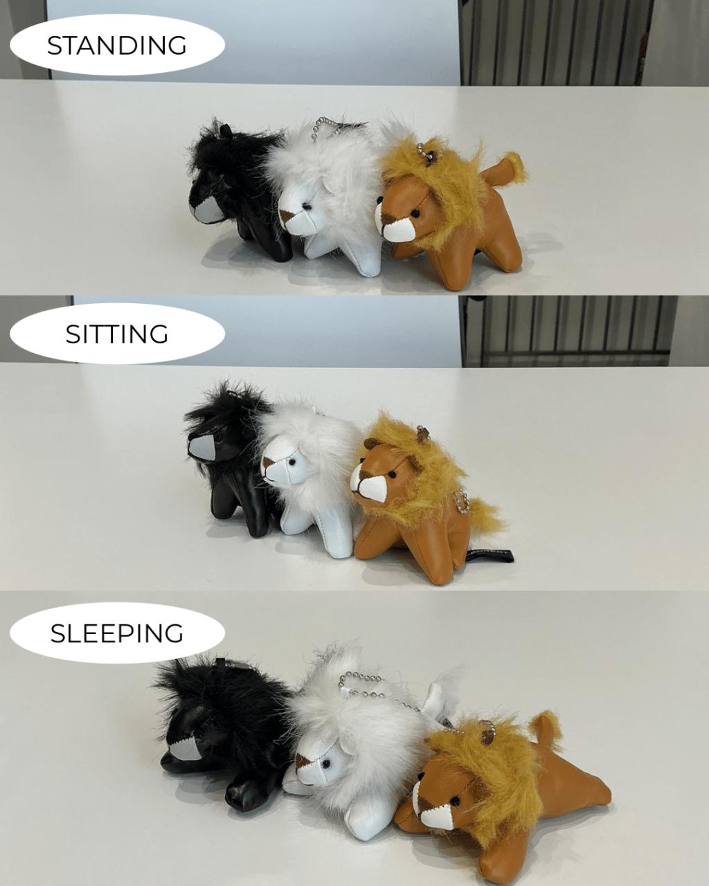 あなたはどのポーズ派？プジョーのプチライオン🦁